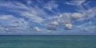 Lord Howe Island - NSW H (PBH4 00 11787)